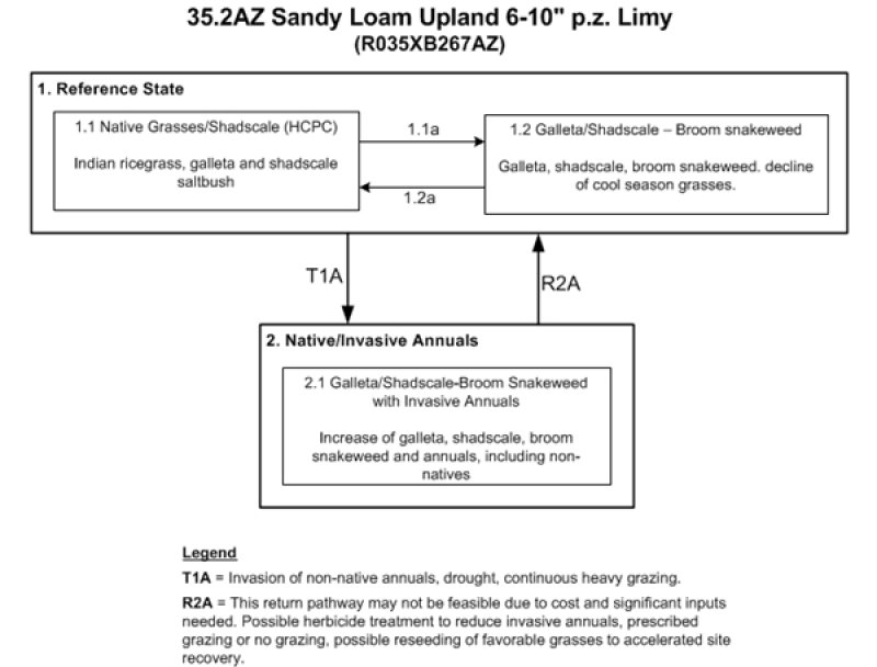 Model diagram