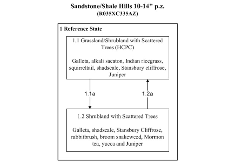 Model diagram