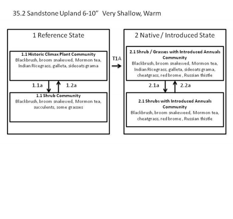 Model diagram