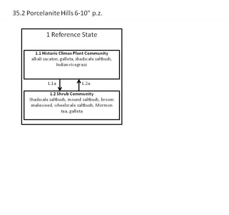 Model diagram