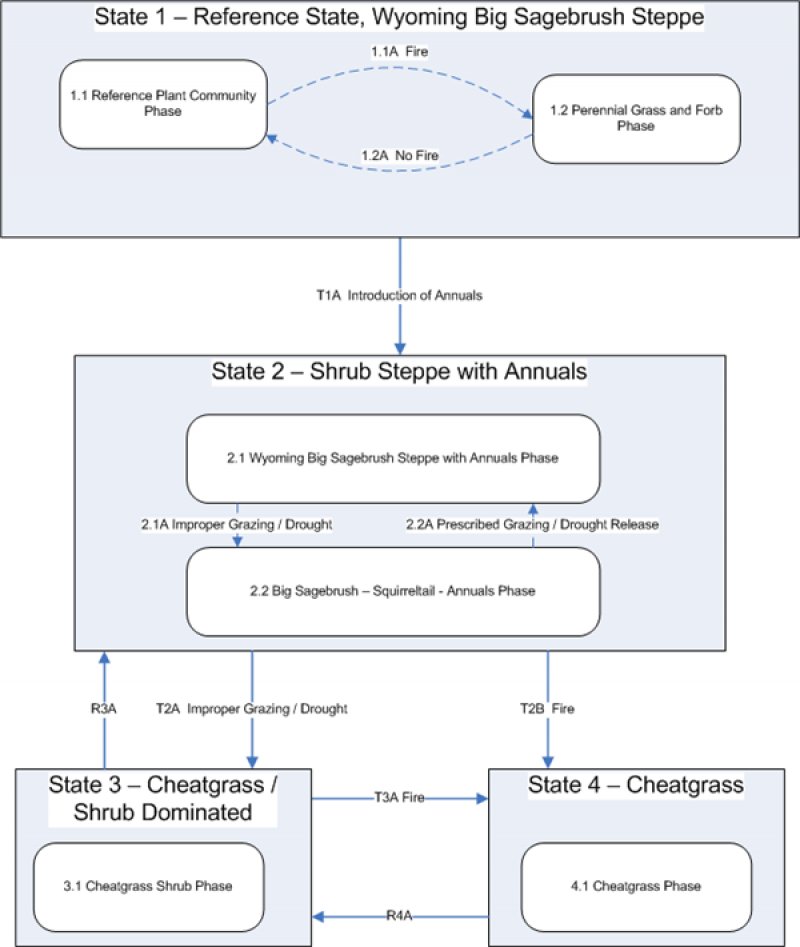 Model diagram
