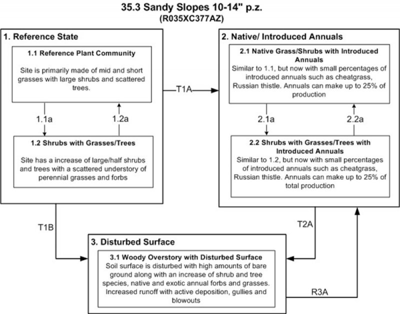 Model diagram