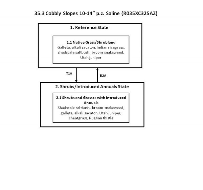 Model diagram