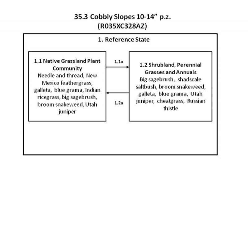 Model diagram