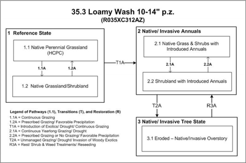 Model diagram