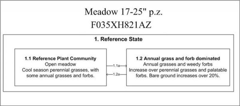 Model diagram