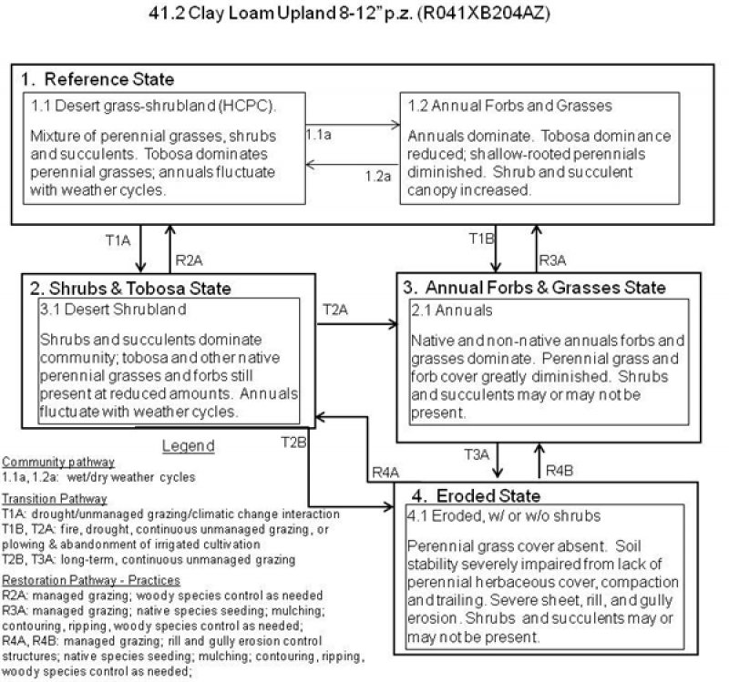 Model diagram