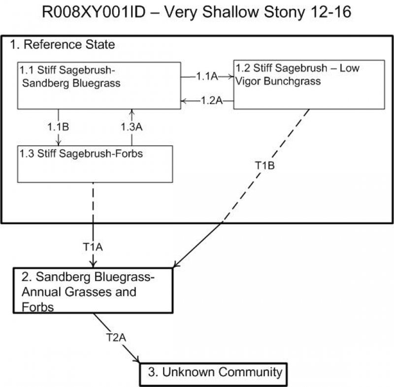 Model diagram