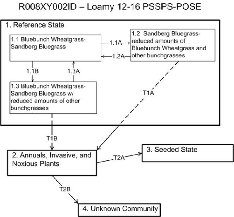 Model diagram