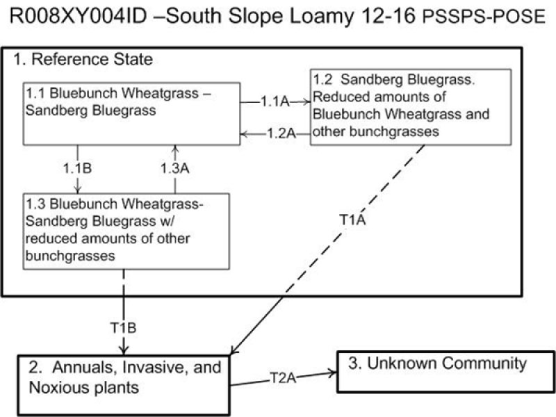 Model diagram