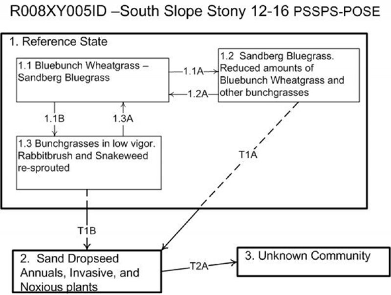 Model diagram