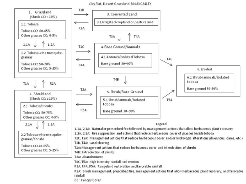 Model diagram