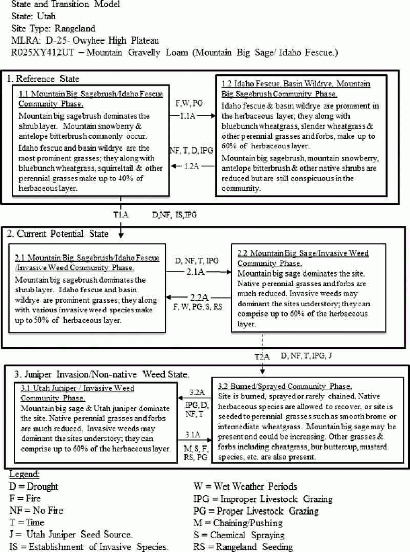 Model diagram