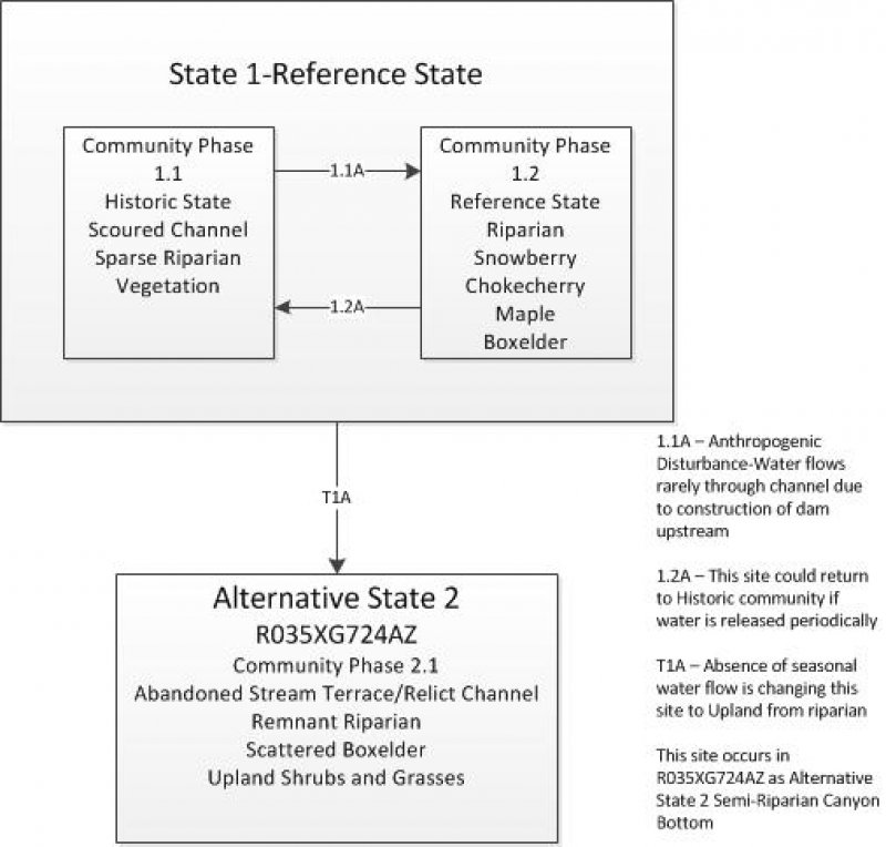 Model diagram