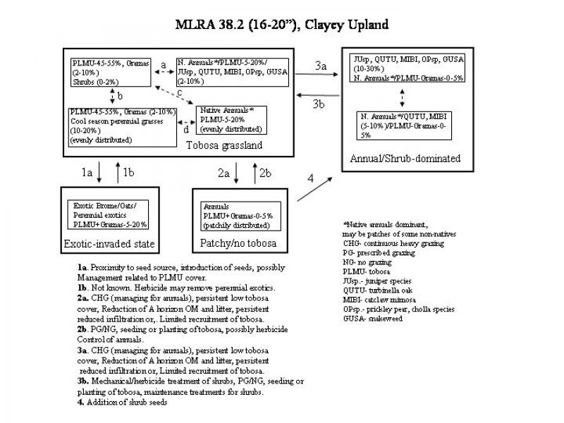 Model diagram