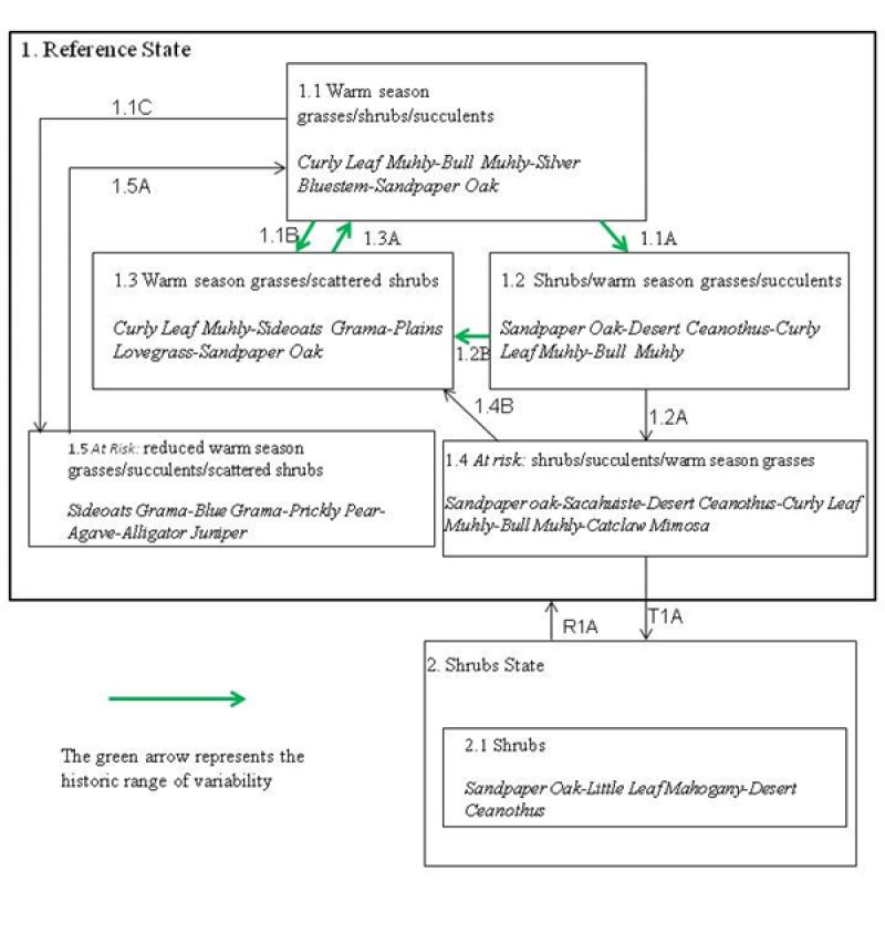 Model diagram