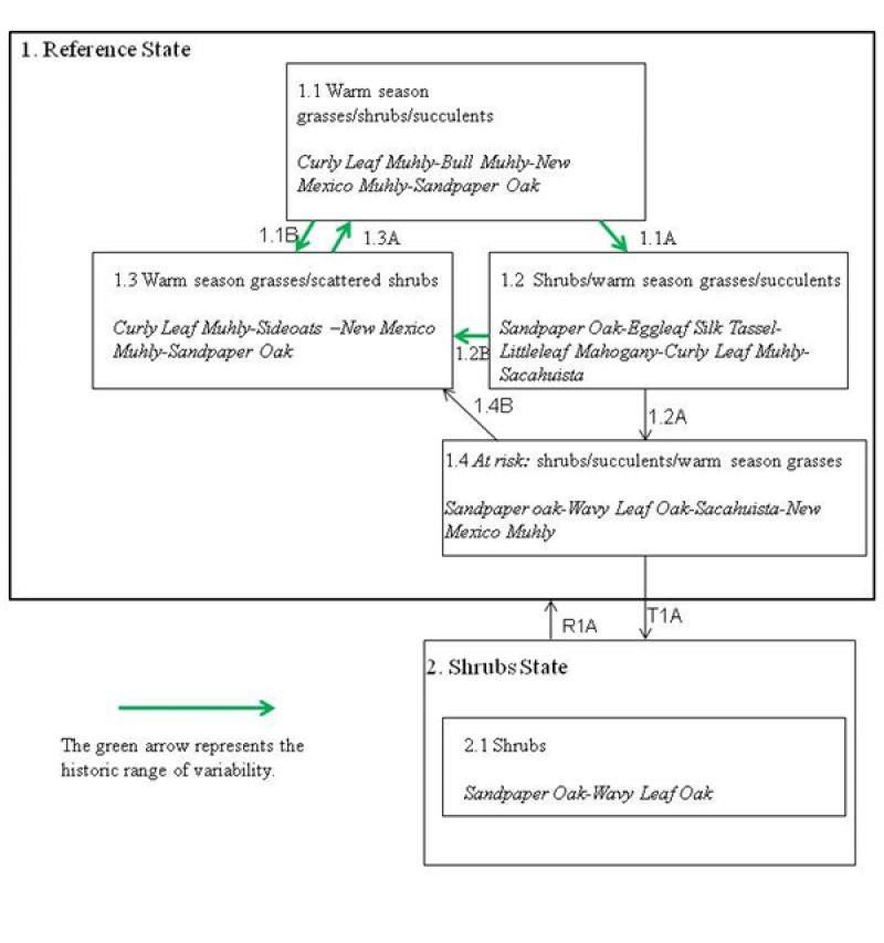 Model diagram
