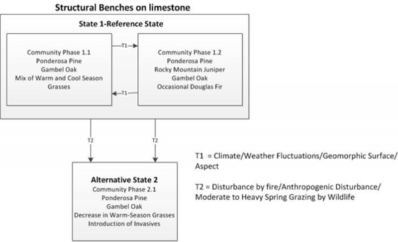 Model diagram
