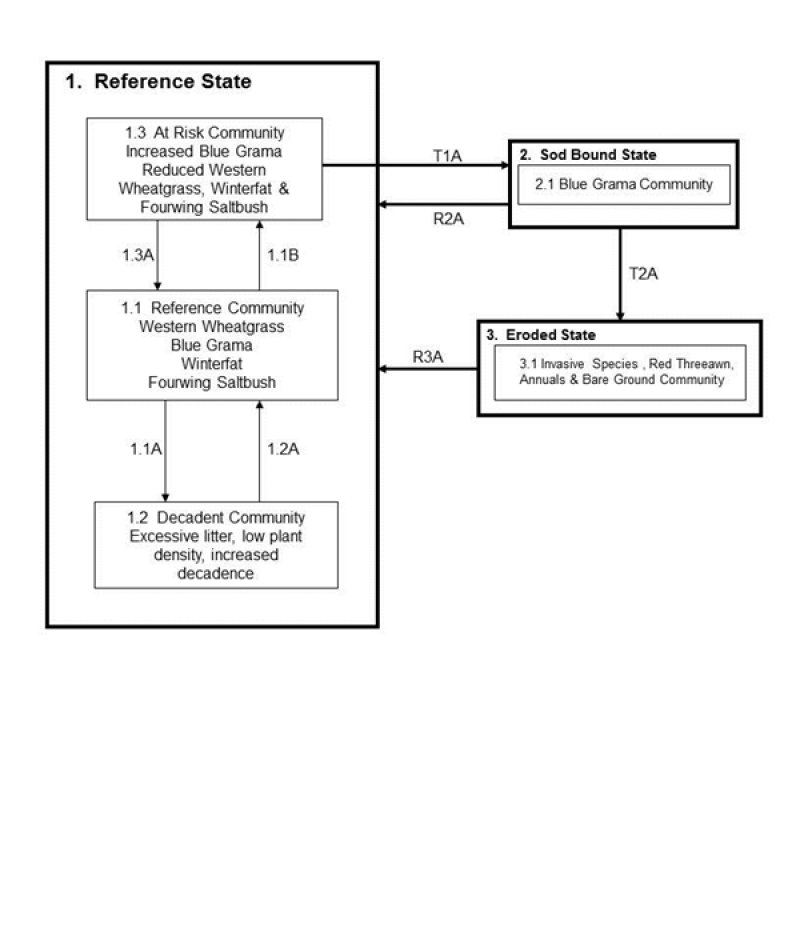 Model diagram