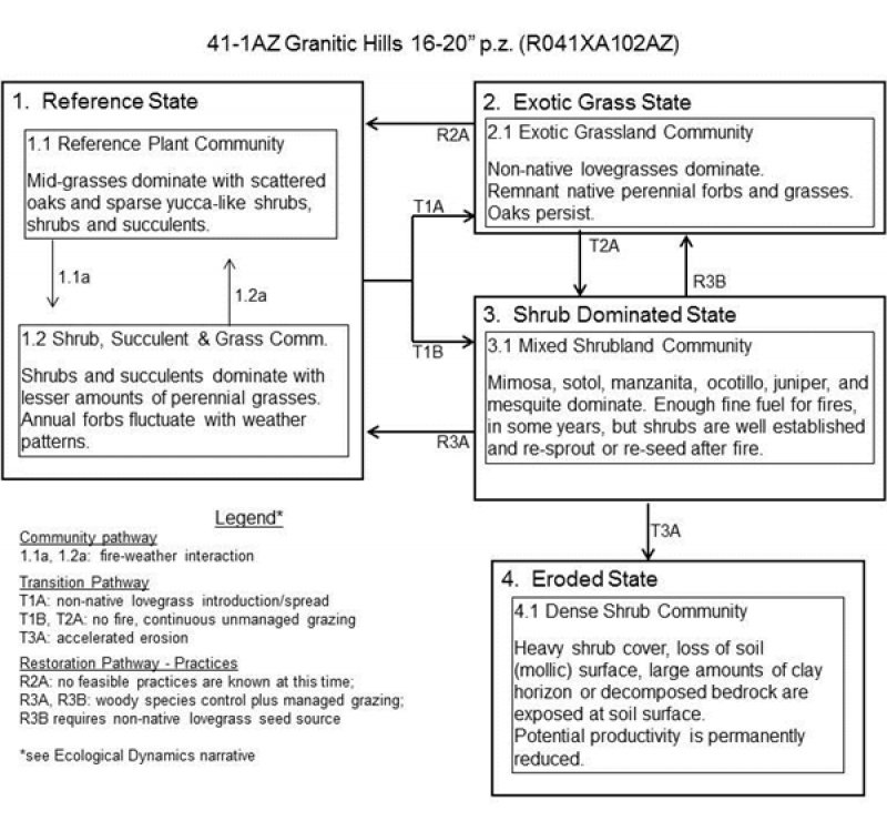 Model diagram