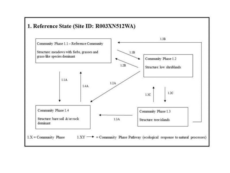 Model diagram