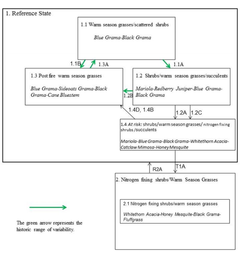 Model diagram