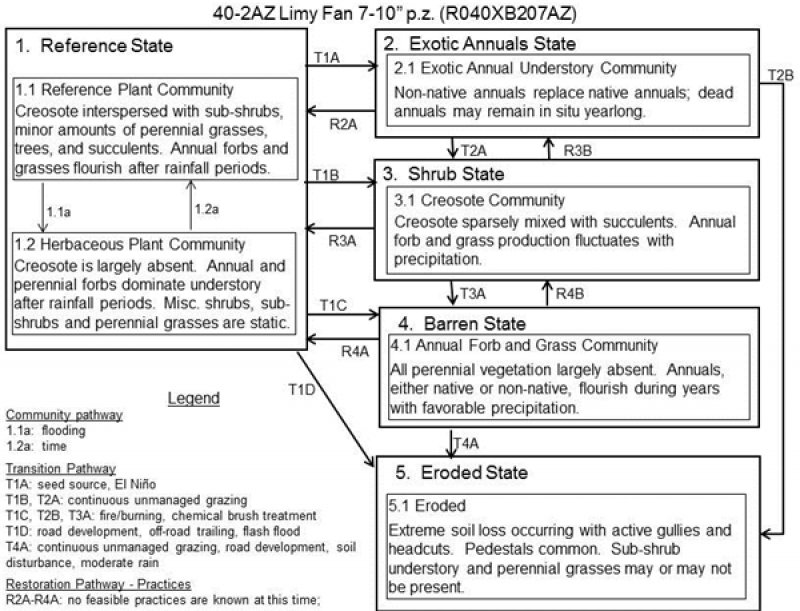 Model diagram