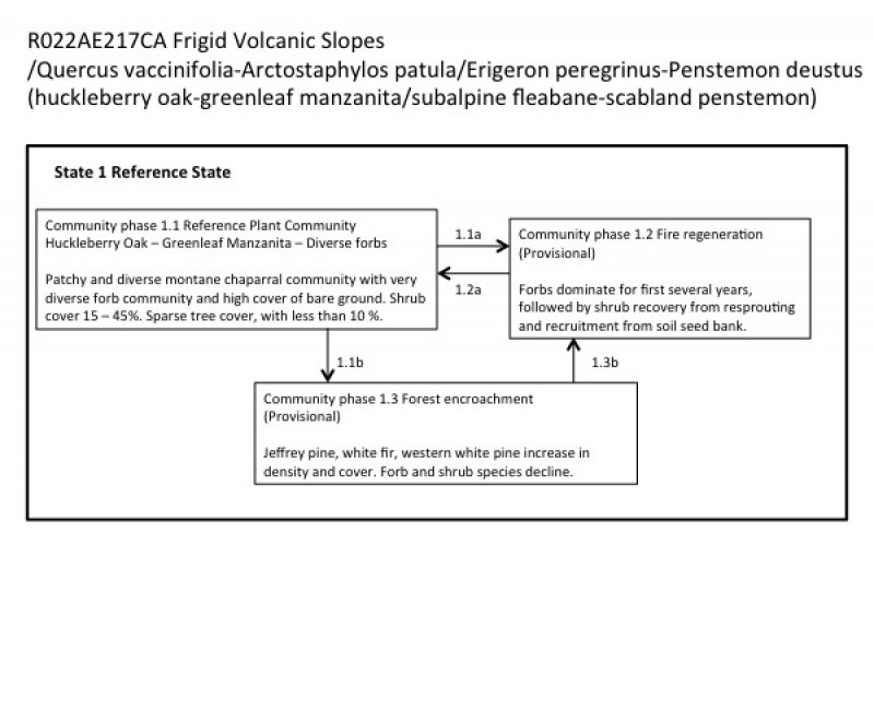 Model diagram