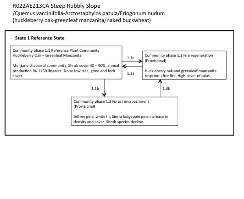 Model diagram