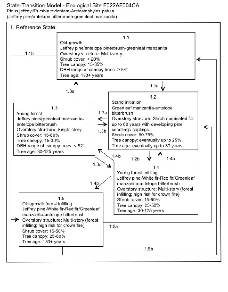 Model diagram