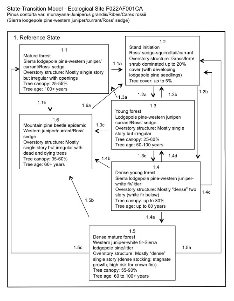 Model diagram