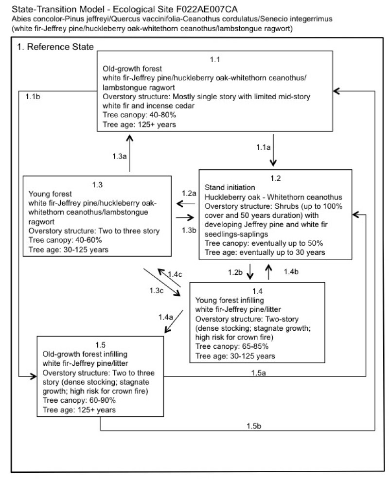 Model diagram
