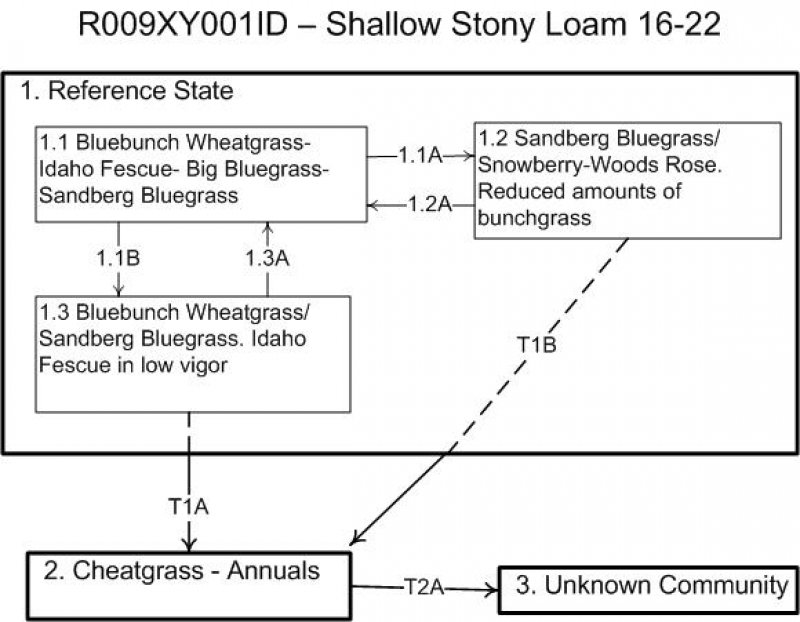 Model diagram