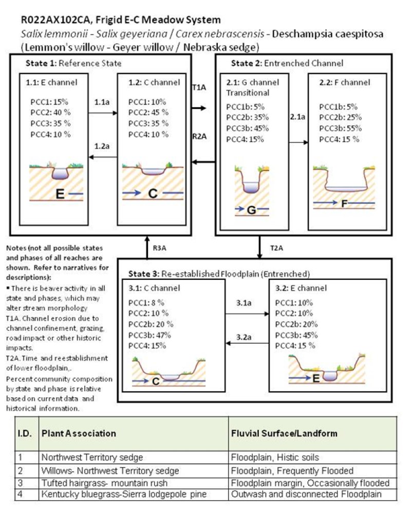 Model diagram