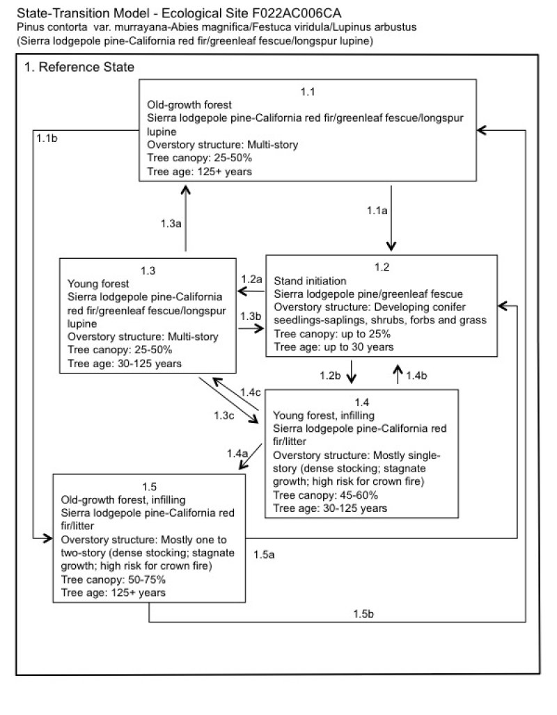 Model diagram