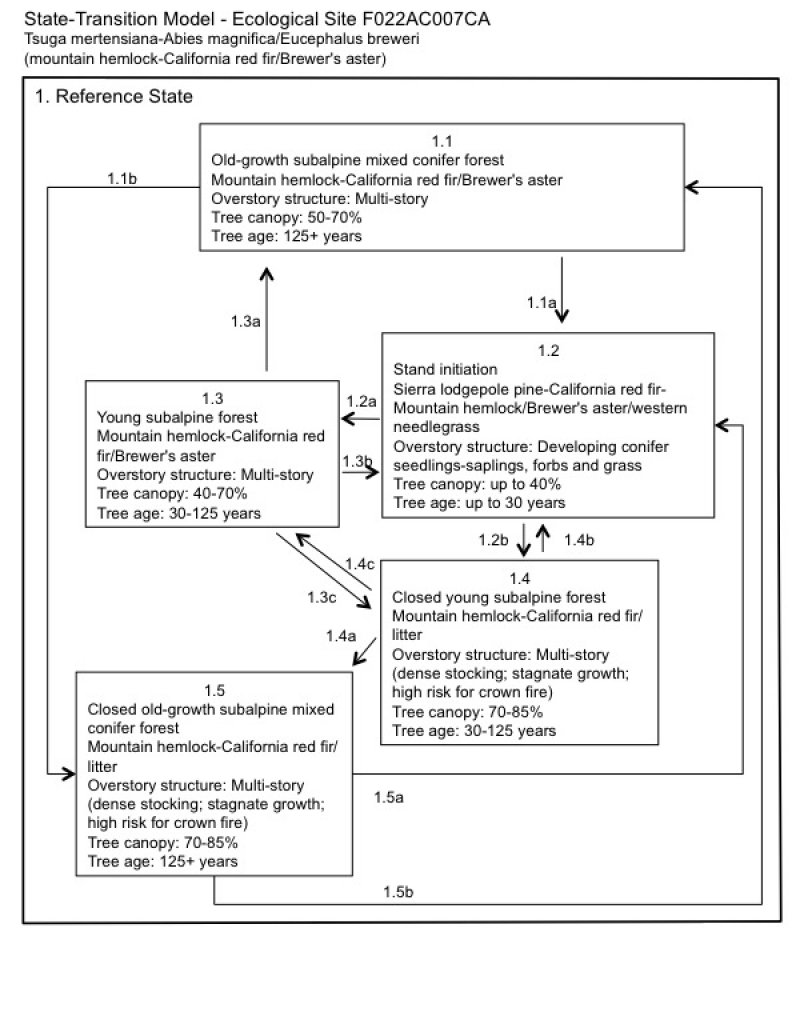 Model diagram