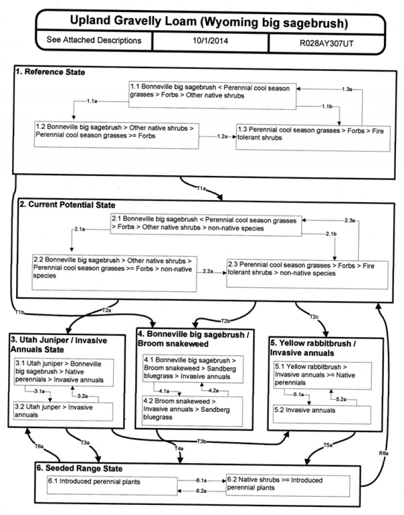Model diagram