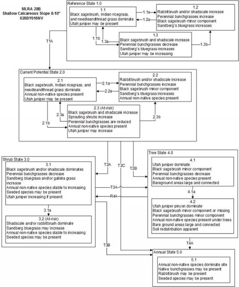 Model diagram