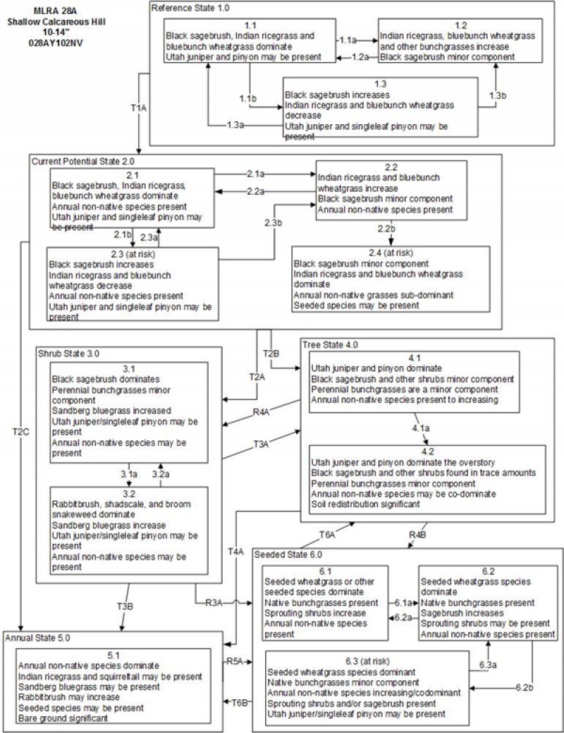 Model diagram