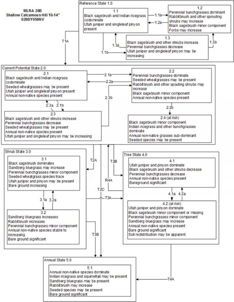Model diagram