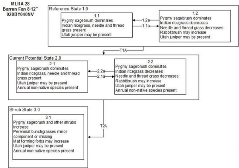 Model diagram