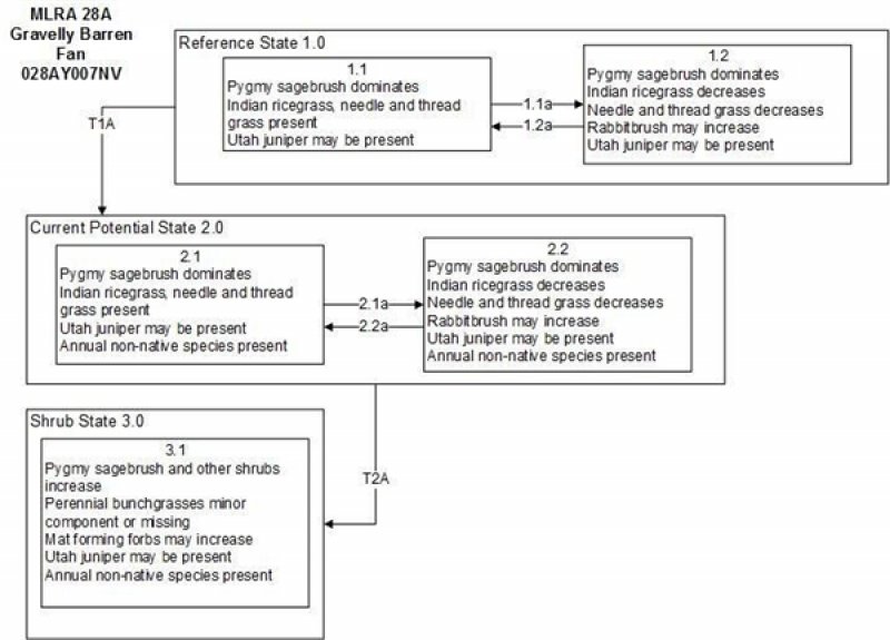 Model diagram