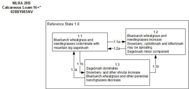Model diagram