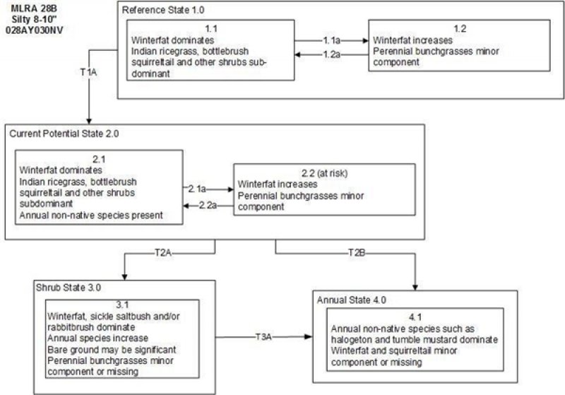 Model diagram