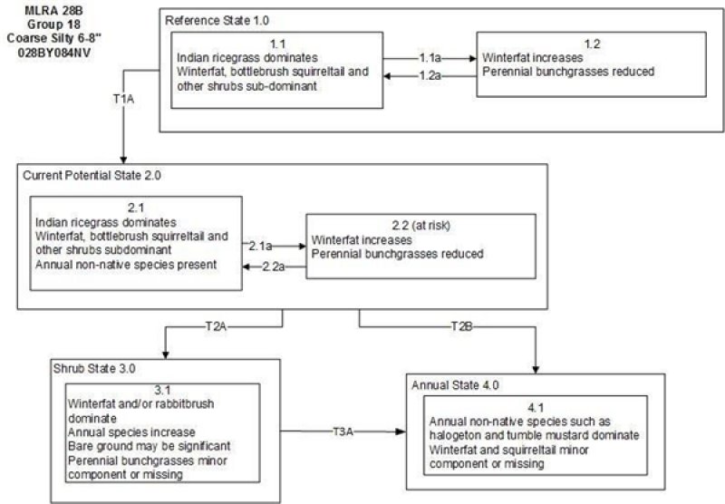 Model diagram