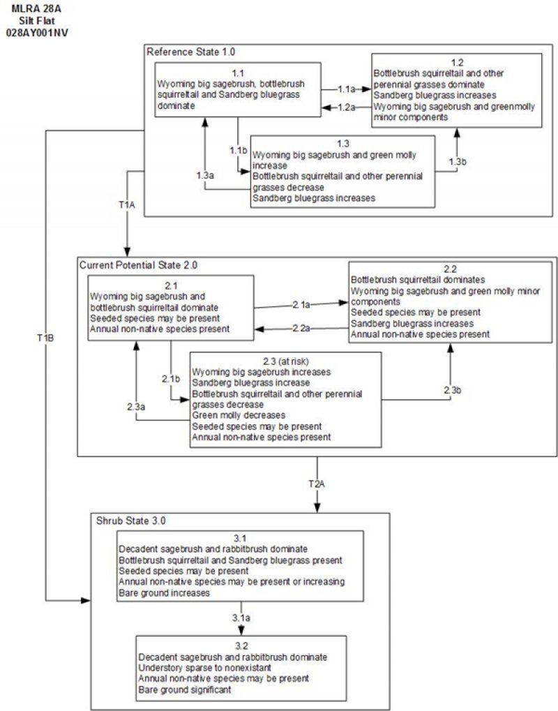 Model diagram