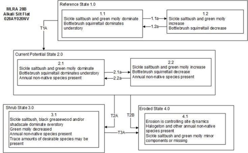 Model diagram