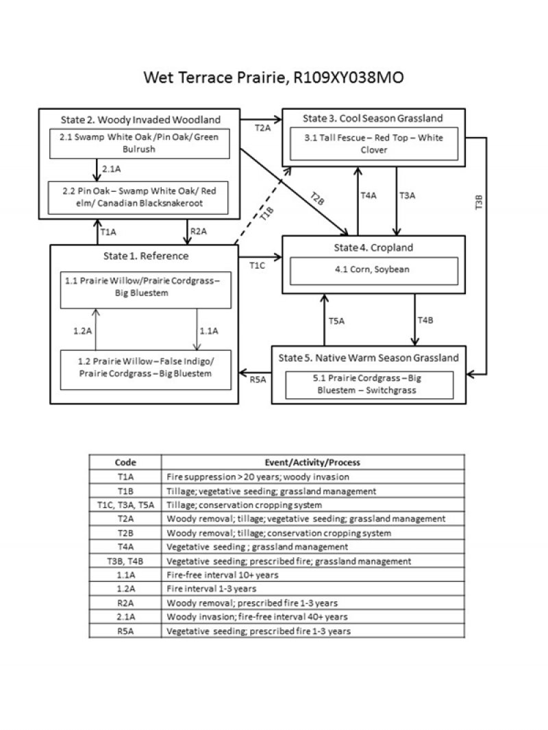 Model diagram