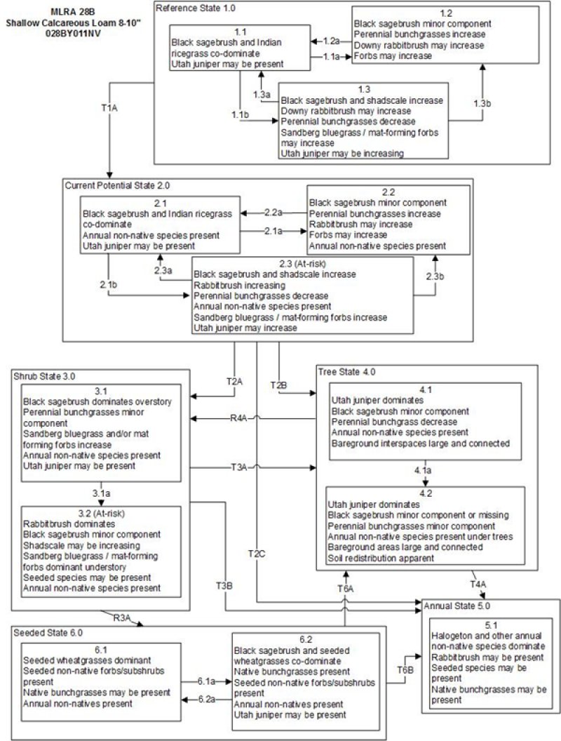 Model diagram
