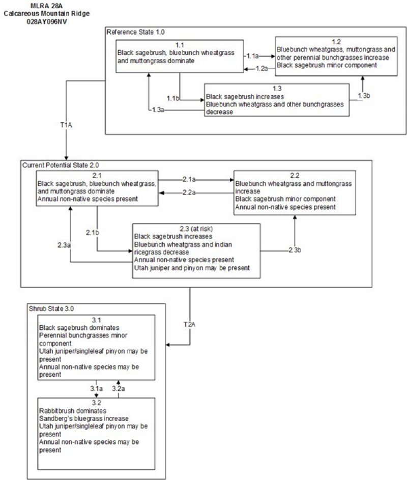 Model diagram